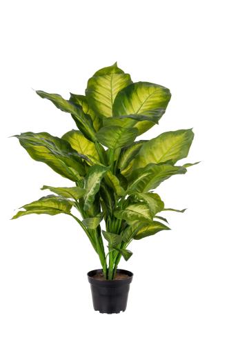 Flekkblad - Grønn - 55 cm - www.frokenfraken.se