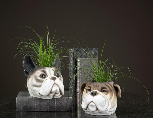 Krukke - Bulldog Brun - 19 x 18 x 16 cm - www.frokenfraken.se