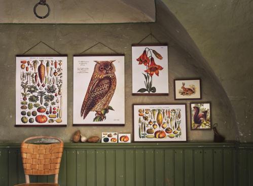 Plakat – Grønnsaker – 50 x 70 cm - www.frokenfraken.se