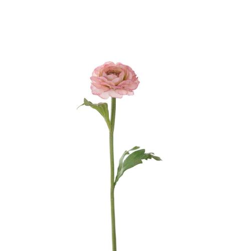 Ranuncel - Rosa - 35 cm - www.frokenfraken.se