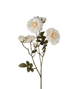 Ros - Krem - 65 cm - www.frokenfraken.se