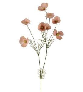 Rosenskjær - Aprikos - 100 cm - www.frokenfraken.se
