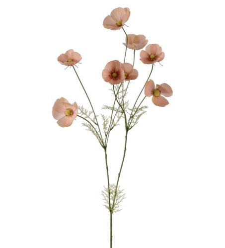 Rosenskjær - Aprikos - 100 cm - www.frokenfraken.se