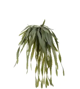 Rhipsalis - Grønn - 35 cm - www.frokenfraken.se