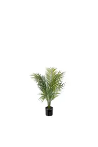 Fjellpalme - Grønn - 60 cm - www.frokenfraken.se