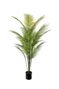 Fjellpalme - Grønn - 140 cm - www.frokenfraken.se