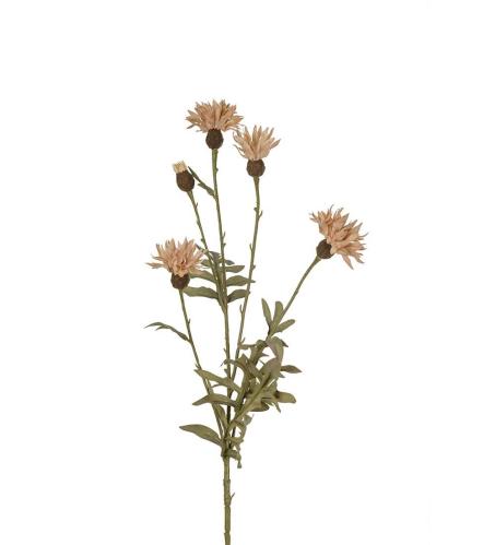 Blåklokke - Beige - 60 cm - www.frokenfraken.se