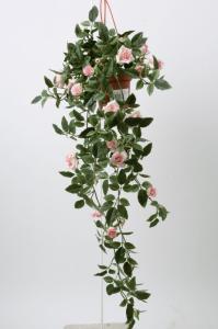 Ros - Lysrosa - Ampel - 50 cm - www.frokenfraken.se