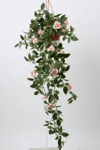 Ros - Lysrosa - Ampel - 50 cm - www.frokenfraken.se