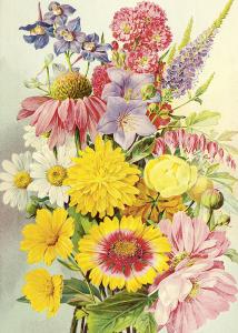 Plakat - Vintage - Sommerbukett - 50 x 70 cm - www.frokenfraken.se