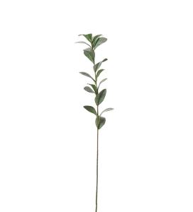 Ruscus - Grå - 77 cm - www.frokenfraken.se