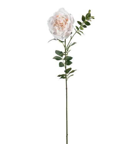 Ros - Persika - 90 cm - www.frokenfraken.se