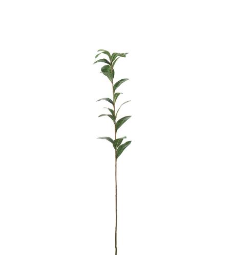 Ruscus - Grønn - 77 cm - www.frokenfraken.se