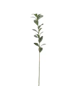 Ruscus - Grå - 77 cm - www.frokenfraken.se