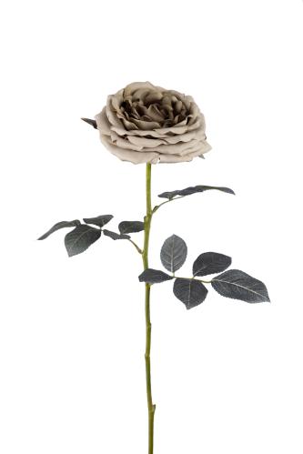 Rose - Grønn - 65 cm - www.frokenfraken.se