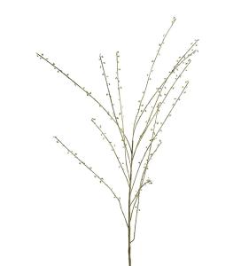 Salix kvist - Grønn - 135 cm - www.frokenfraken.se