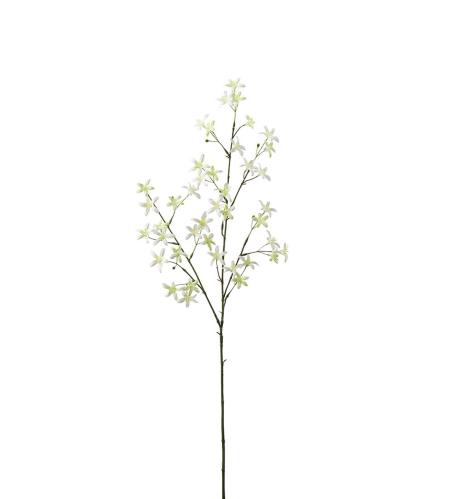 Saxifraga - Grønn - 75 cm - www.frokenfraken.se