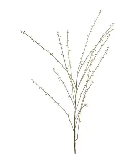 Salix kvist - Grønn - 135 cm - www.frokenfraken.se