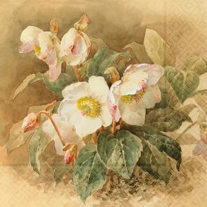 Serviett - Julrose - 33 x 33 cm - www.frokenfraken.se