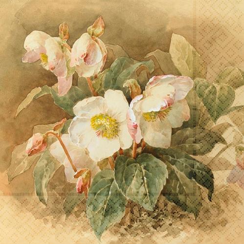 Serviett - Julrose - 33 x 33 cm - www.frokenfraken.se