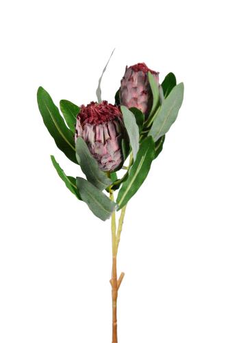 Protea - Lilla - 80 cm - www.frokenfraken.se
