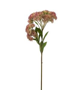 Sedum - Grønn - 65 cm - www.frokenfraken.se