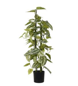 Silverranka - Grønn - 80 cm - www.frokenfraken.se