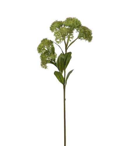 Sedum - Grønn - 65 cm - www.frokenfraken.se
