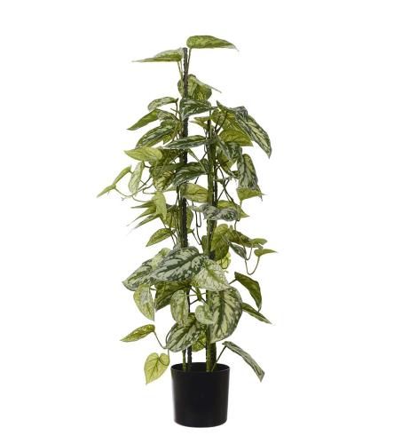 Silverranka - Grønn - 80 cm - www.frokenfraken.se