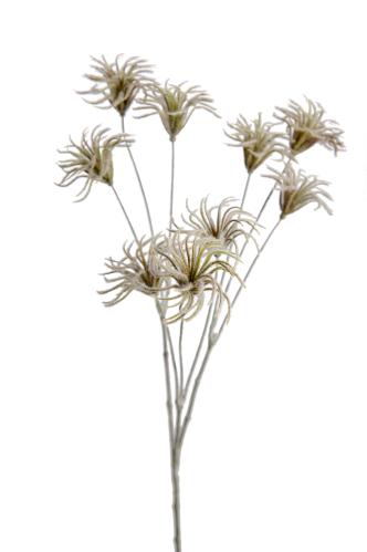 Tistel - Grønn - 70 cm - www.frokenfraken.se