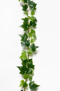 Murgrøna - Grønn - 180 cm - www.frokenfraken.se