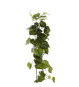 Squashranka - Grønn - 130 cm - www.frokenfraken.se