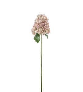 Syrénhortensia - Rosa - 84 cm - www.frokenfraken.se
