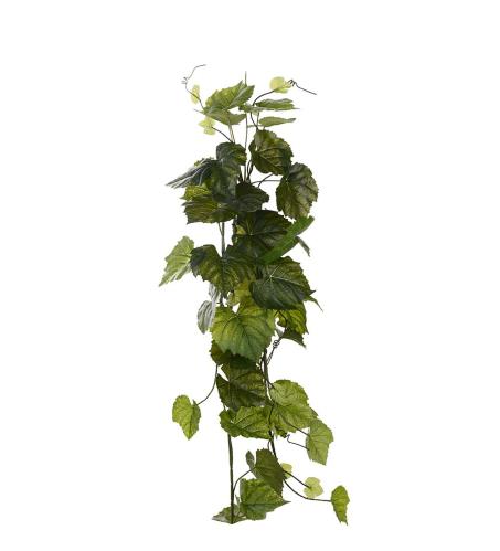 Squashranka - Grønn - 130 cm - www.frokenfraken.se