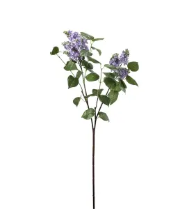 Syrén - Blå - 100 cm - www.frokenfraken.se