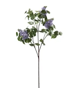 Syrén - Blå - 135 cm - www.frokenfraken.se