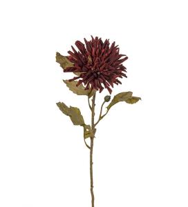 Krysantemum - Burgunder - 60 cm - www.frokenfraken.se