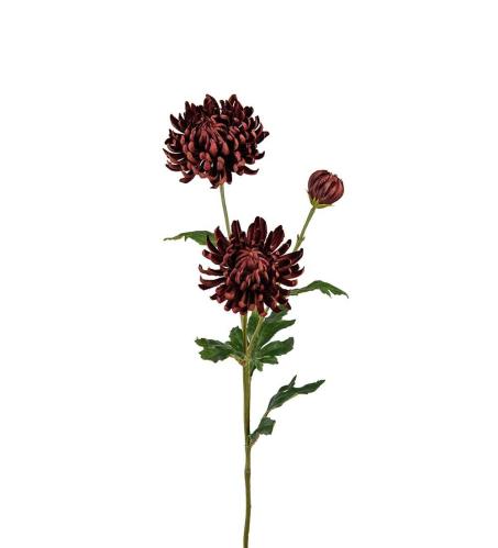 Krysantemum - Brun - 60 cm - www.frokenfraken.se