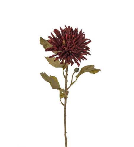 Krysantemum - Burgunder - 60 cm - www.frokenfraken.se