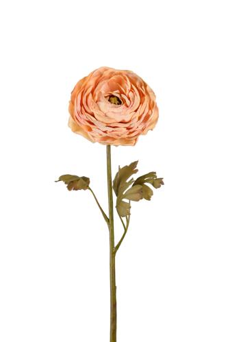 Ranunkel - Brun - 60 cm - www.frokenfraken.se