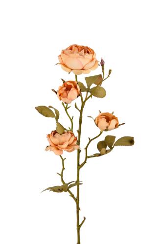 Rose - Brun - 60 cm - www.frokenfraken.se