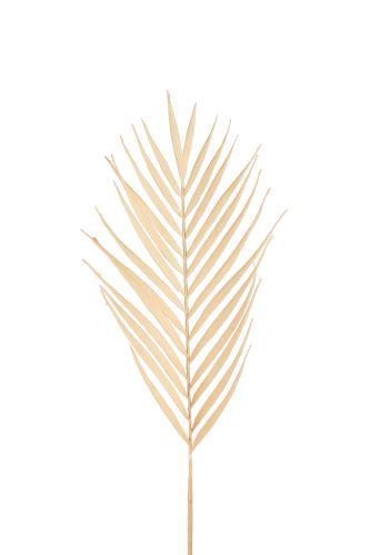 Palmeblad - Brun - 90 cm - www.frokenfraken.se