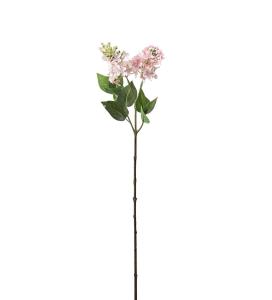 Syrén - Rosa - 60 cm - www.frokenfraken.se
