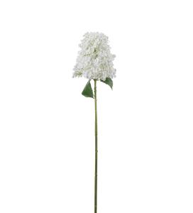 Syrénhortensia - Vit - 84 cm - www.frokenfraken.se