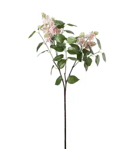 Syrén - Rosa - 100 cm - www.frokenfraken.se