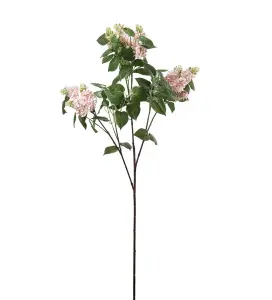 Syrén - Rosa - 135 cm - www.frokenfraken.se