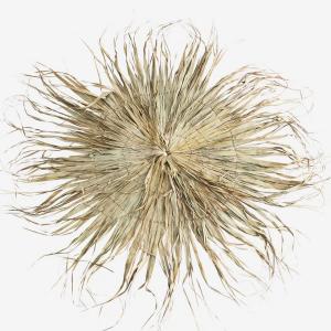 Veggdekor - Rund - 180 cm - www.frokenfraken.se