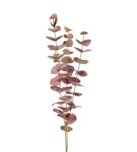 Eukalyptus - Burgunder - 60 cm - www.frokenfraken.se