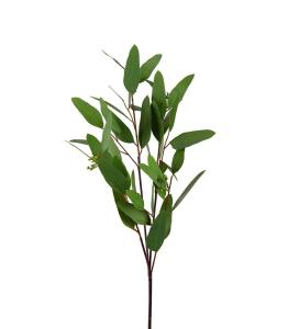 Eukalyptus - Grønn - 80 cm - www.frokenfraken.se