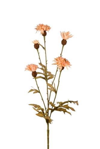 Kornblomst - Brun - 60 cm - www.frokenfraken.se
